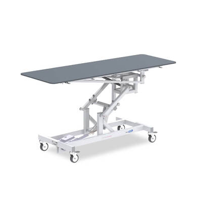 1000mm Vet Table  Electric - Non-Tilting