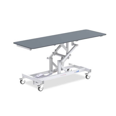 1200mm Vet Table  Electric - Non-Tilting